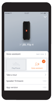 Connecting to the voice assistant